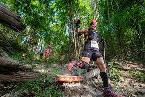 BIB: 
                            <button type="button" onclick="openModal(19390380)" class="btn btn-primary btn-sm float-right btn-popup" data-toggle="modal" data-target=".modal-high-quality">
                        <i class="fas fa-shopping-cart"></i> Add to Cart
                    </button>
                                            <button type="button" onclick="isThisMe(19390380, true)" class="btn btn-success btn-sm float-right btn-popup btn-isme hidden" data-toggle="tooltip" data-placement="bottom" title="นี่คือรูปของคุณใช่ไหม คลิกที่นี่เพื่อเอาเข้าอัลบั้ม">
                        <i class="fas fa-plus"></i> Add to album
                    </button>
                    <button type="button" onclick="isThisMe(19390380, false)" class="btn btn-warning btn-sm float-right btn-popup btn-isnotme hidden">
                        <i class="fas fa-ban"></i> Remove from album
                    </button>